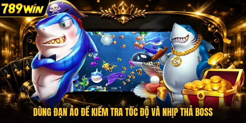 Dùng đạn ảo để kiểm tra tốc độ và nhịp thả boss